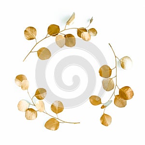 Gold round frame made of gold branches eucalyptus and leaves isolated on white background. lay flat, top view