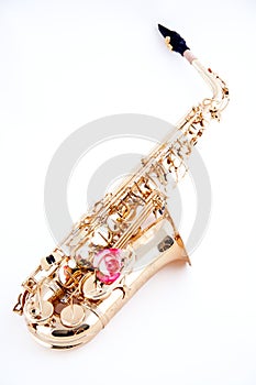 Gold Saxophone Pink Rose