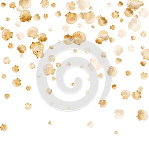 Gold sea shells rich vector background