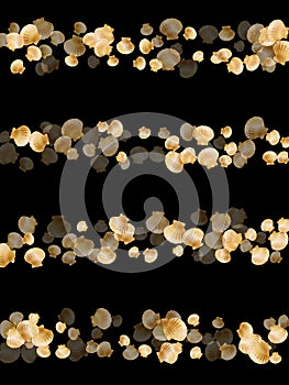 Gold seashells isolated, pearl bivalved mollusks