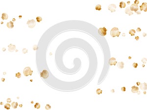 Gold seashells isolated, pearl bivalved mollusks