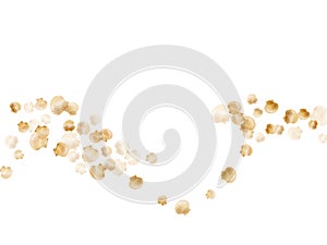 Gold seashells isolated, pearl bivalved mollusks