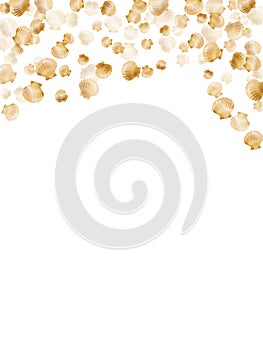 Gold seashells isolated, pearl bivalved mollusks