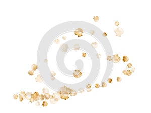 Gold seashells vector background, golden pearl bivalved mollusks.