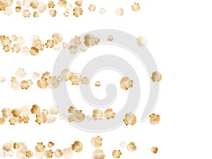 Gold seashells vector background, golden pearl bivalved mollusks.