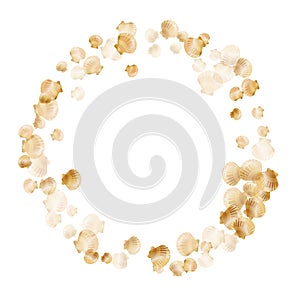 Gold seashells vector, golden pearl bivalved mollusks