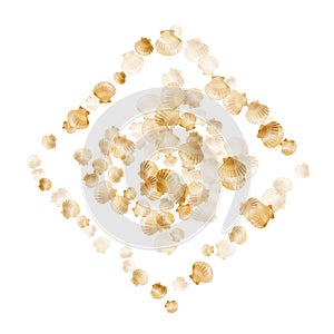 Gold seashells vector, golden pearl bivalved mollusks.