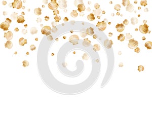 Gold seashells vector, golden pearl bivalved mollusks.