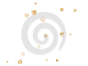 Gold seashells vector, golden pearl bivalved mollusks.