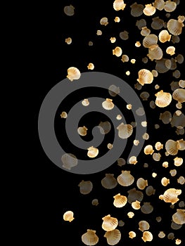 Gold seashells vector, golden pearl bivalved mollusks.