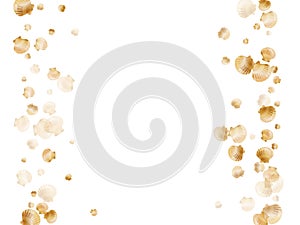 Gold seashells vector, golden pearl bivalved mollusks.