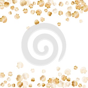 Gold seashells vector, golden pearl bivalved mollusks.