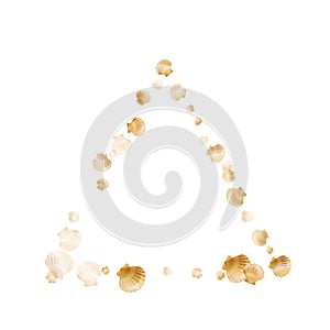 Gold seashells vector, golden pearl bivalved mollusks.