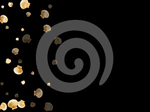 Gold seashells vector, golden pearl bivalved mollusks.