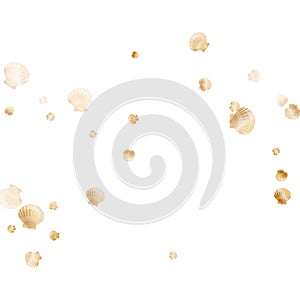 Gold seashells vector, golden pearl bivalved mollusks.