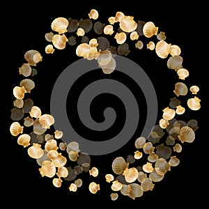 Gold seashells vector, golden pearl bivalved mollusks.