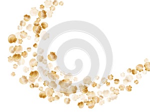 Gold seashells vector, golden pearl bivalved mollusks.