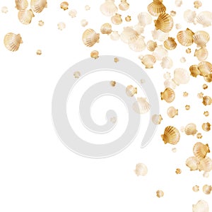 Gold seashells vector, golden pearl bivalved mollusks.