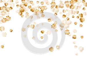 Gold seashells vector, golden pearl bivalved mollusks.