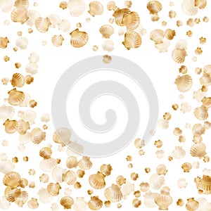 Gold seashells vector pearl bivalved mollusks.