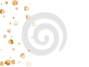 Gold seashells vector, pearl bivalved mollusks