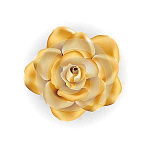 Gold shine flower