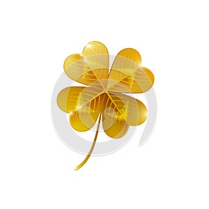 Gold shiny four leaf clover isolated on white
