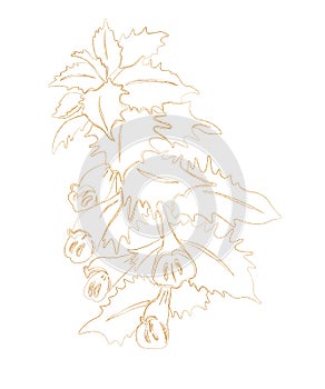 Gold silhouette of forest flower