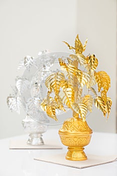 Gold and Silver Bodhi Tree (bo tree or pipal) photo