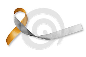 Gold silver ribbon  isolated with clipping path for hearing disorders illness awareness