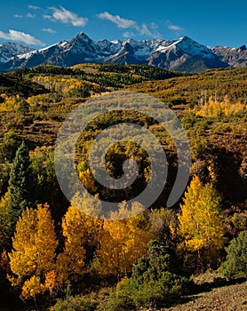 Gold And Snow On Dallas Divide photo