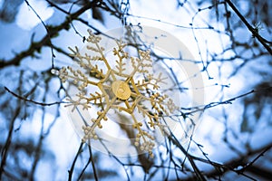 Gold snowflake ornament hanging on a tree in a snow forest, winter wonderland, closeup. Depicting Christmas, holidays, winter