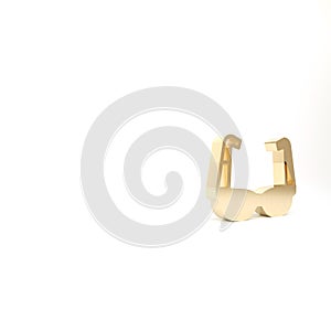 Gold Sport cycling sunglasses icon isolated on white background. Sport glasses icon. 3d illustration 3D render