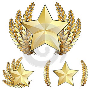 Gold Star Award with Laurel Wreath