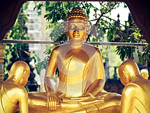 Gold statue in sihanoukville