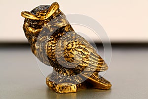 Gold statuette of an owl from the background, wallpaper
