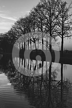 Gold sunset over river with sun rays, tree silhouettes and reflection on water in black and white