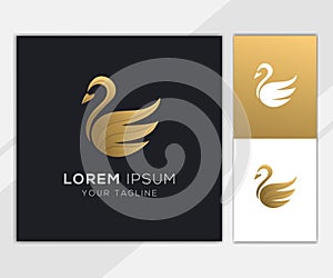 Gold swan abstract logo template