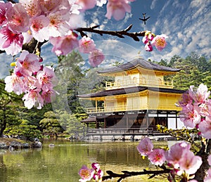 Gold temple japan