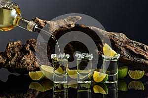 Gold tequila with sea salt and lime slices on a background of old snag