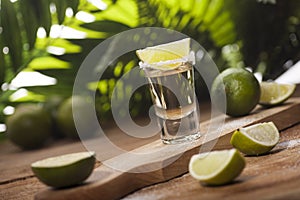 Gold tequila shot with lime fruits