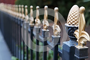 Gold tipped iron fence