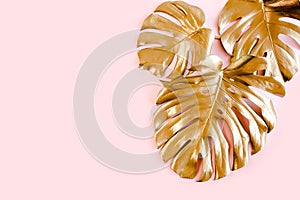 Gold tropical palm leaves Monstera on pink background. Flat lay, top view minimal concept.