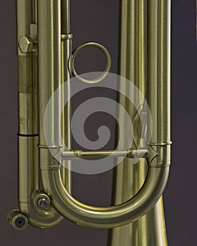 Gold Trumpet Detail