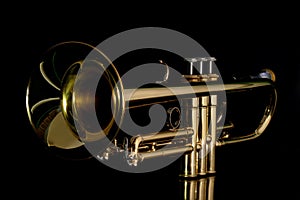Gold trumpet in night