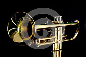 Gold trumpet in night photo