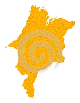 Gold Vector Map of Maranhao State