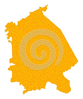 Gold Vector Map of Pavlodar Region photo