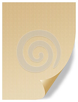 Gold Vellum