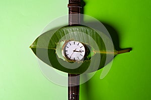 Gold watch under a green leaf